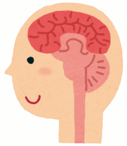 【朗報】人間の脳、150TBもあったｗｗｗｗｗｗｗ