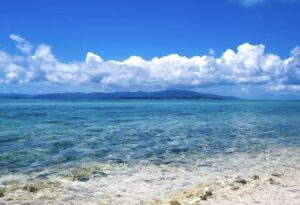 【動画】陽キャ、自由を求めて大海へ繰り出してしまう