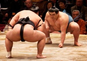 相撲取り「力士はただのデブって馬鹿にしてたよなぁ！？」