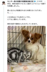 【画像】バカ女「結婚しよ♡」クソ男「てか、この犬たちどうする？ｗ」