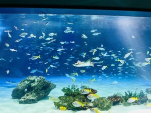 【動画】ショッピングモールの超巨大水槽、崩壊し大惨事ｗｗｗｗｗｗｗ