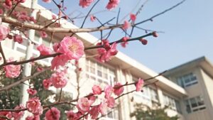 【動画】女なんG民、入学式で盛大にスベる