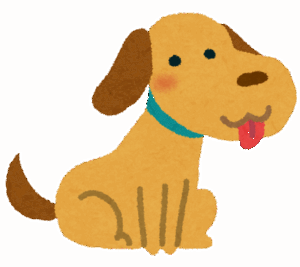 柴犬という飼育難易度激高ワンコについて
