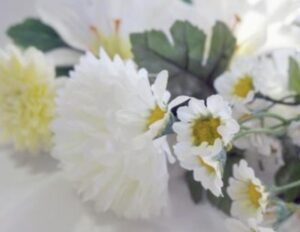 【悲報】大人気お笑いコンビ、ツッコミが死去