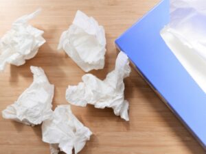 ワイ、ヨッメとムッスメが寝静まったのでシコシコ開始