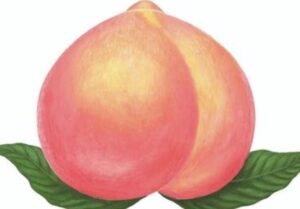 【悲報】男子小学生、乳首が勃起してしまうwwwwwww