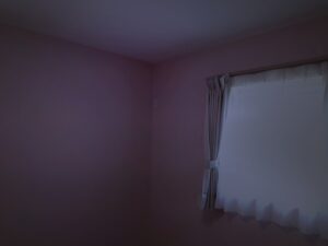北九州監禁連続殺人のあの部屋に住む住人、強過ぎる