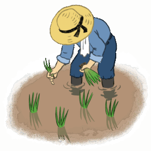 【コメ高騰が続くなか…】田植えの季節がやってきた・稲作は「重労働なのに儲からない」という事実…農家は「市場価格は関係ない。決まった金額でJAに卸しているだけ」