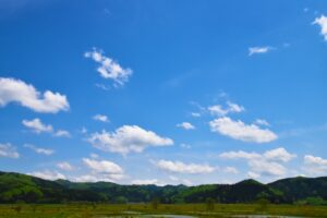 仕事辞めてスローライフ送ってるけど最高過ぎる