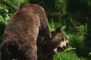 【画像】北海道の高校で行われたクマ出没を想定した訓練クソワロタｗｗｗｗｗｗｗｗｗｗ