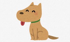 【画像】親父が犬拾ってきたｗｗｗｗｗ