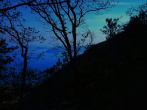 【悲報】陽キャ、友達を深夜の山に置き去りにしてしまうｗｗｗｗｗｗｗｗ