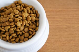 【画像】ワイニート、マッマに犬の餌を食わされる。