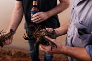【動画】料理人さん、食材に慈悲を与える