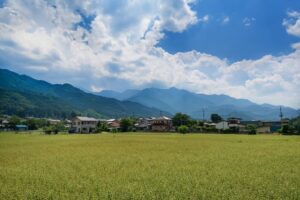 東京に転職するワイ、田舎に住んでる父親に「一人にしないで」と泣きつかれる