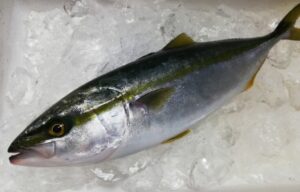 【画像】たぶんハマチを料理して食べるよ
