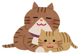 猫ちゃん←特に仕事もせずに餌だけ貰って生きる生物