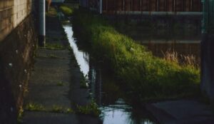【画像】散歩中ぼく、用水路で発見する