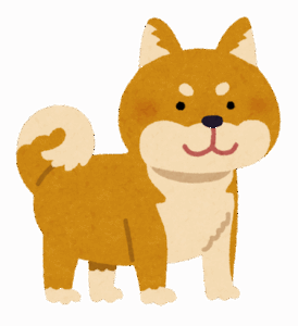 柴犬「賢いです」「人懐こいです」「吠えません」「抜け毛無いです」「臭いません」「舐めません」