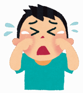 【急募】ガチのマジで泣いたゲームｗｗｗｗｗｗｗｗｗｗ