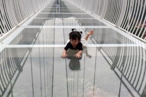 【動画】ガラス張りの橋で尻餅をついた女さん、周りが全員死亡