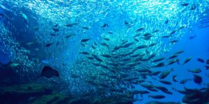 【悲報】生き物系の大物YouTuberさん、理由も告げずいきなり活動休止へ