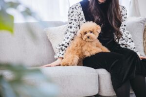 【画像】バカ女「結婚しよ♡」クソ男「てか、この犬たちどうする？ｗ」→結果