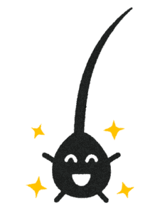 【疑問】生まれつき髪細くてサラサラな男で禿げなかった人いる？