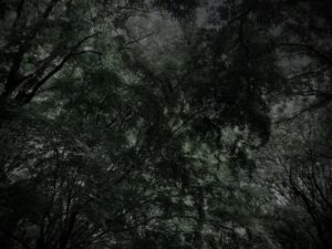 【闇】リチャードホールとかいうガチで闇の深い番組