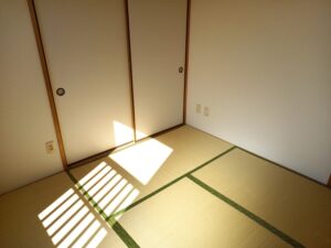 【悲報】ワイの部屋に謎のヤバい虫が出る