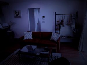 【実話】久しぶりに家に帰ったんだけどキョウダイが増えてた
