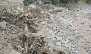 実家で飼ってる犬がこの豪雨で流されたらしい