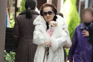 細木数子「地獄に堕ちるわよ」ドラマ化ｗｗｗｗｗｗｗｗｗｗｗ