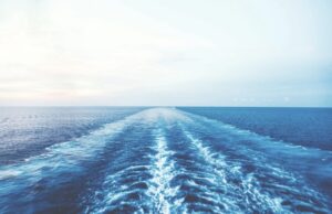 【朗報】日本から消えた魚たち、何故か戻ってくる
