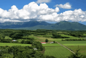 【画像】X民が作った『兵庫県の詳細』wwwwwwwww