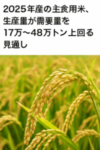 ２０２５年産の主食用米、生産量が需要量を１７万～４８万トン上回る見通し…高値続く米価落ち着くか