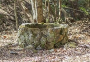 【動画】中国のガキ、井戸に突き落とされリアル貞子に