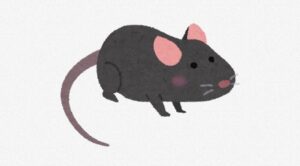 【恐怖】最新のネズミ駆除剤、怖すぎる