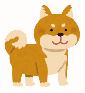 犬種って柴犬一強じゃね？