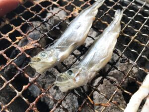 【画像】料亭「本物のシシャモ見せたろか？」