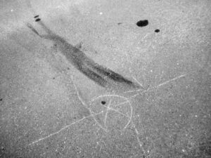 【画像】ワイさんミラーを当て逃げされ120万円の修理代払うｗｗｗｗｗｗｗ