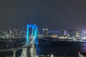 【画像】X女子「女子の9割はこんな都会のキラキラ生活に憧れてる。男は稼がないとモテないよ」