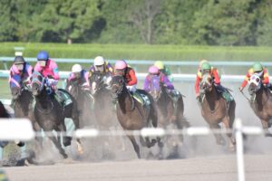 【動画】競馬で騎手同士のケンカ発生ｗｗｗｗｗｗｗｗｗｗｗｗｗｗｗｗｗｗｗｗ