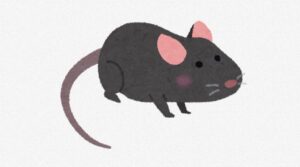 【動画】食用ネズミ、可愛すぎて炎上