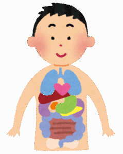 【悲報】肝臓「あっ…あのっ…」心臓「肝臓くんが喋った！ｗ」腸「うけるｗｗｗ」