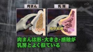 【画像】肉まんとお●ぱいは似てるらしい