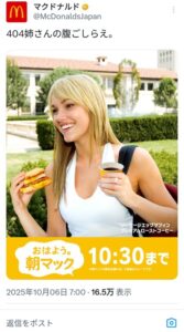 【画像】マクドナルドさん、また古のネット民に媚びる