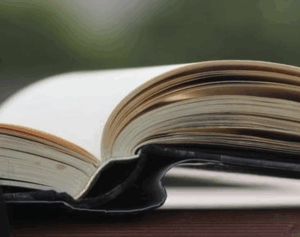 【悲報】ワイ、実用的な資格を3つ持ってるのに『年収350万』で草wwwwww