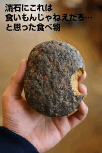 流石にこれは食いもんじゃねえだろ…と思った食べ物