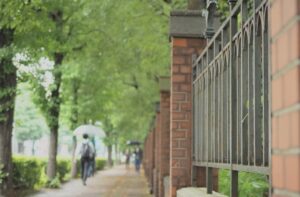 【悲報】東大生でも正答率13%の「ウサギ問題」ｗｗｗｗｗｗｗｗｗｗｗ